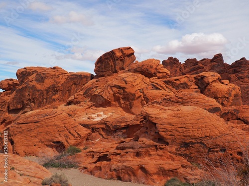 Red rocks in valley of fire national park in nevada usa
