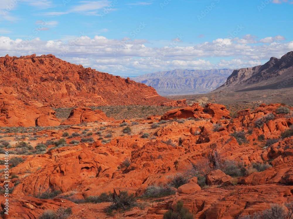 Red rock in valley of fire national park in nevada