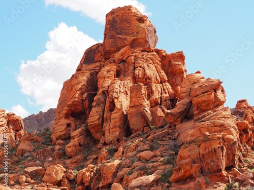 Red rock in valley of fire in nevada