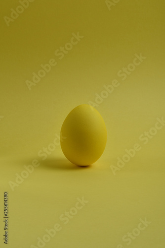 One yellow painted Easter egg stand on a yellow background.