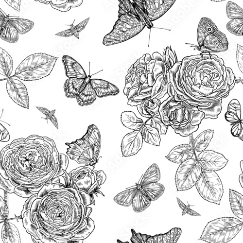 Vintage butterfly and roses vector seamless background.