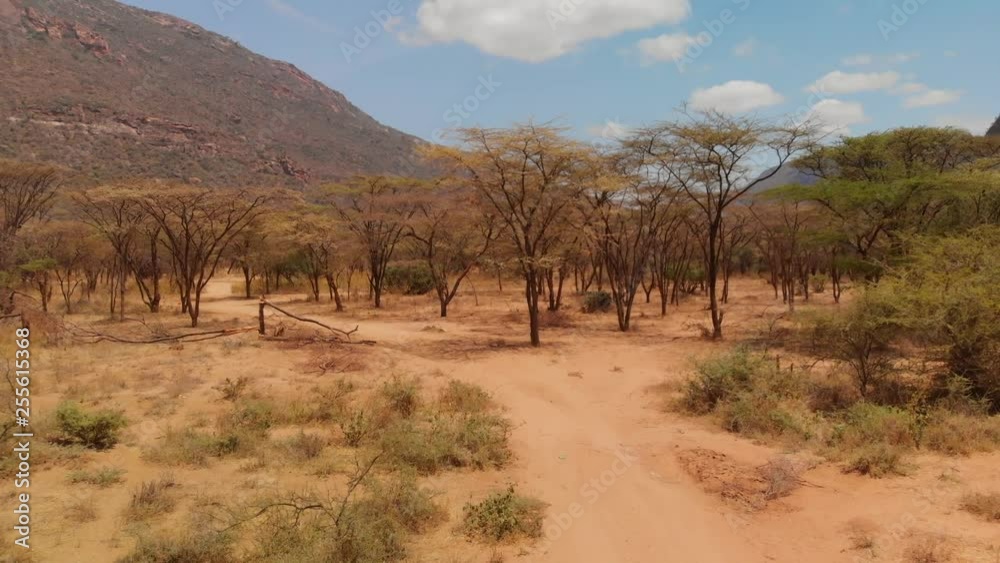 Entrance to a Samburu village near sacred Mount Ololokwe, Kenya. Aerial shots. Entrance to a Samburu village near sacred Mount Ololokwe, Kenya. Aerial shots.