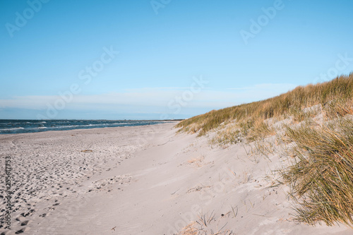 Dünen, Strand, Meer, Grün, Pflanzen, Ozean, Nordsee, Ostsee, Wachsen, Hintergrund 