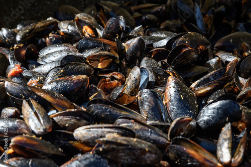 Close up of cooked mussels at a street food festival, ready to eat seafood