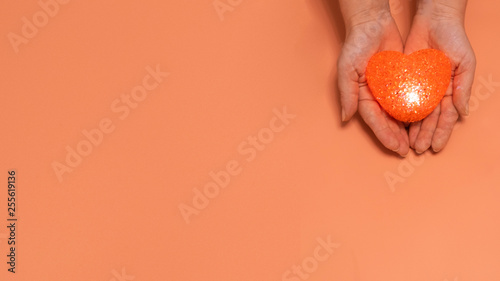 on a pink, beige background red heart in human hands.