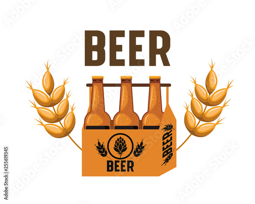 box with beer bottles isolated icon