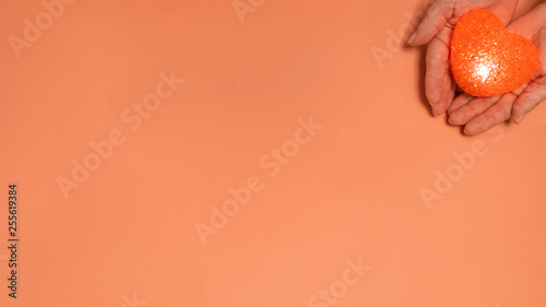 on a pink, beige background red heart in human hands.