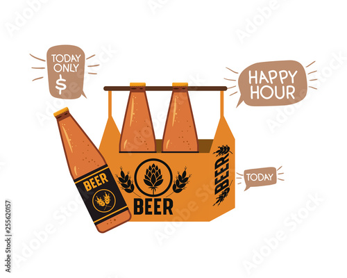 box with beer bottles isolated icon