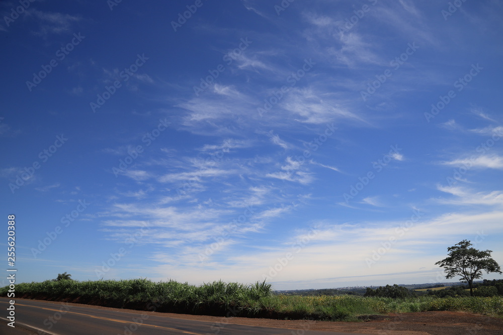 Fototapeta premium landscape with road and clouds
