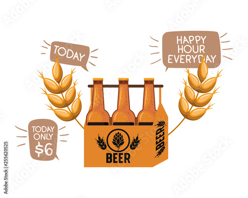 box with beer bottles and wheat isolated icon