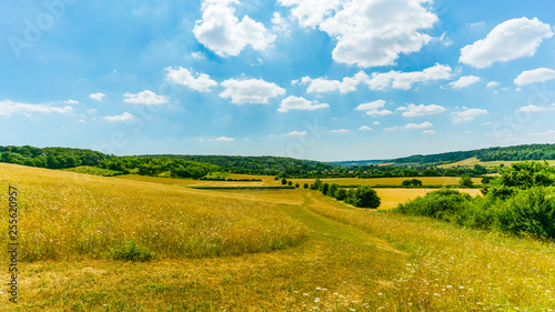 Countryside landscape photo
