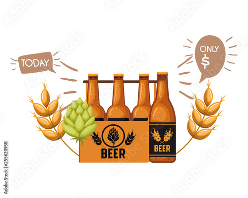 box with beer bottles isolated icon