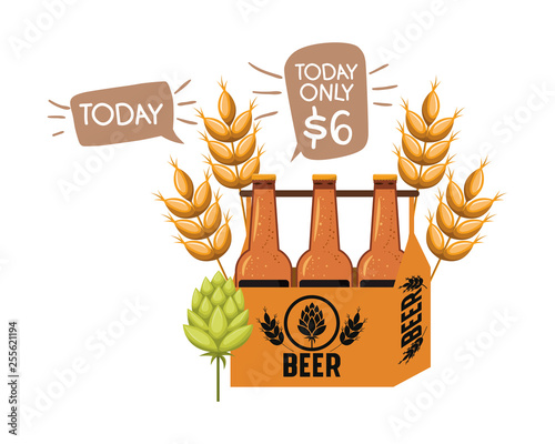 box with beer bottles isolated icon