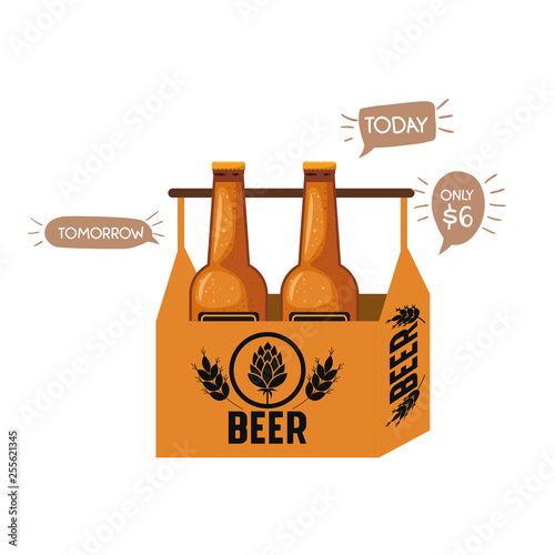 box with beer bottles isolated icon