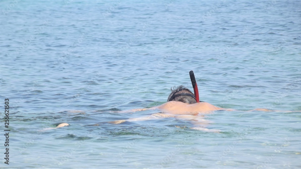 A man snorkeling in a calm sea