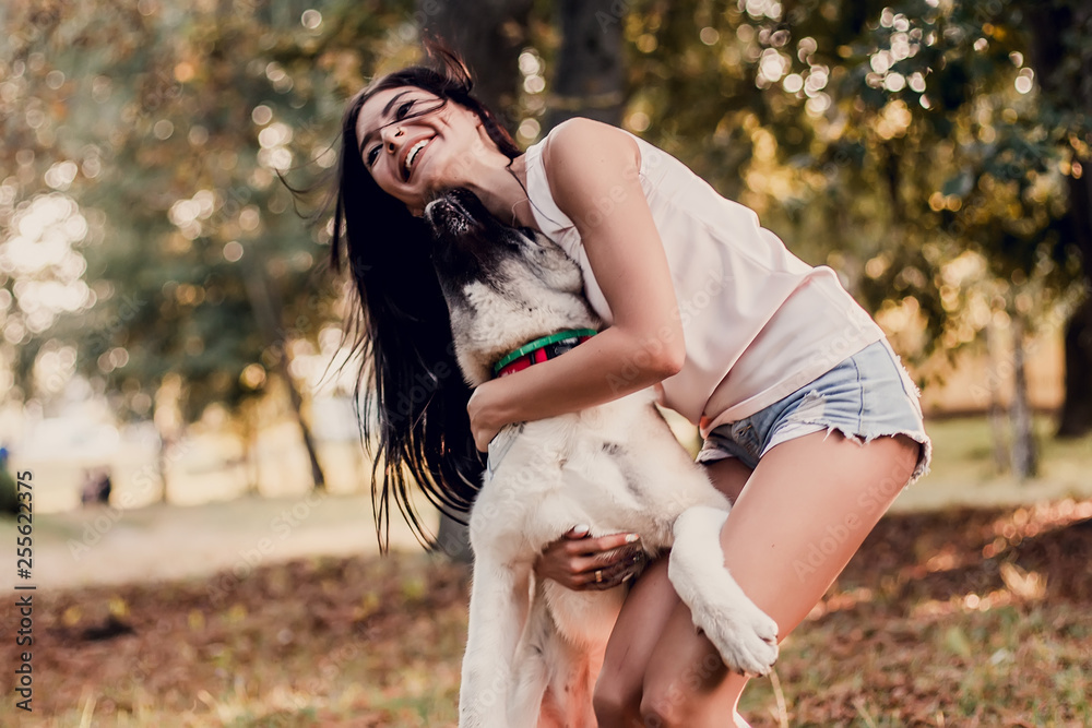 Beautiful woman playing with a dog walking in the park. Beautiful woman playing with a dog walking in the park.
