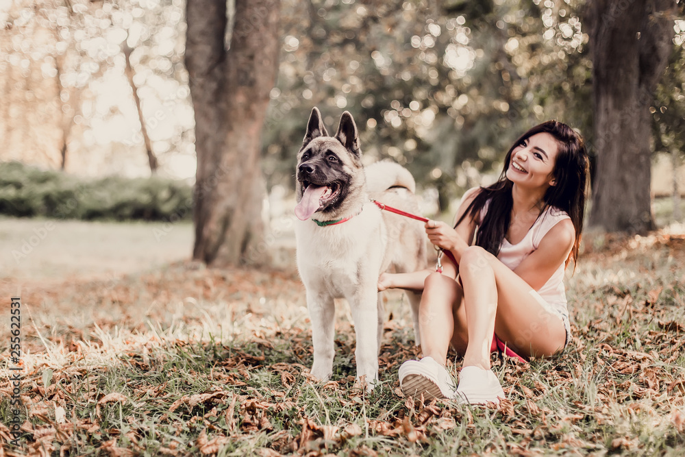 Beautiful woman playing with a dog walking in the park. Beautiful woman playing with a dog walking in the park.