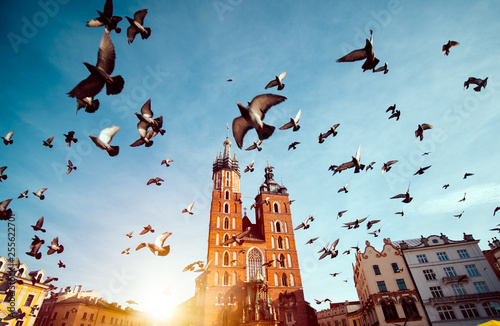 Canvas Print St. Mary's basilica in main square of Krakow with flying pigeons