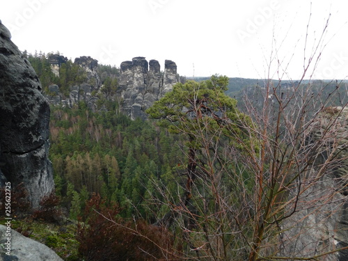 mountains, clouds, drop, village, river, fog, pine