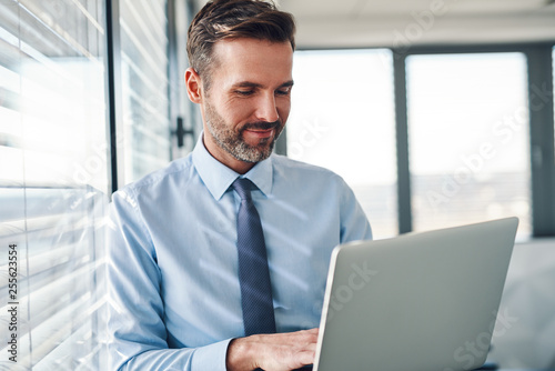 Handsome businessman in modern office looking on laptop computer © baranq