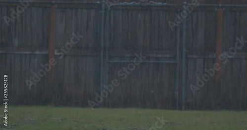 Rain Pouring in Front of a Wooden Fence