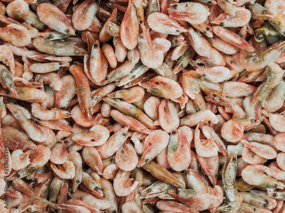 Frozen sea prawns in the refrigerator in the store