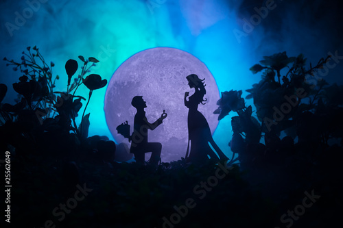 Valokuva Will you marry me? Valentines Day artwork decoration