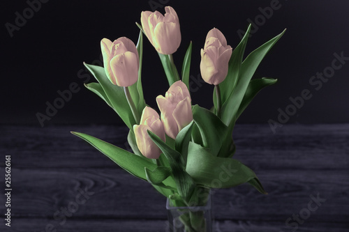 A bouquet of pink tulips on a dark background, top view.