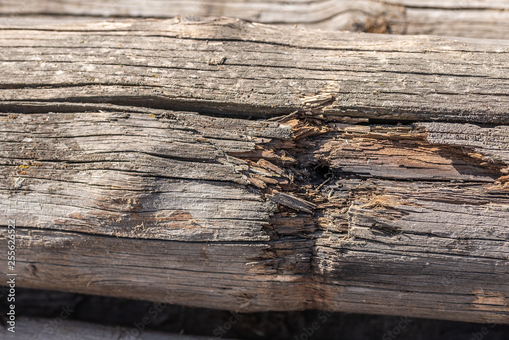 old weathered rotten cracked knotted coarse wood vignette grunge texture old weathered rotten cracked knotted coarse wood vignette grunge texture