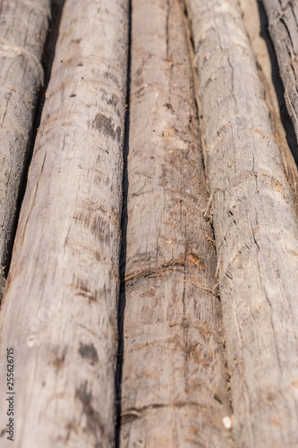 old wood gray round logs cracked weathered pattern 