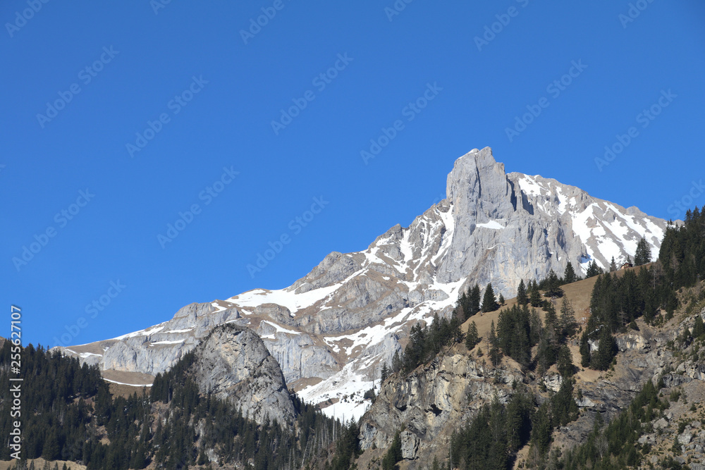 Swiss mountain View