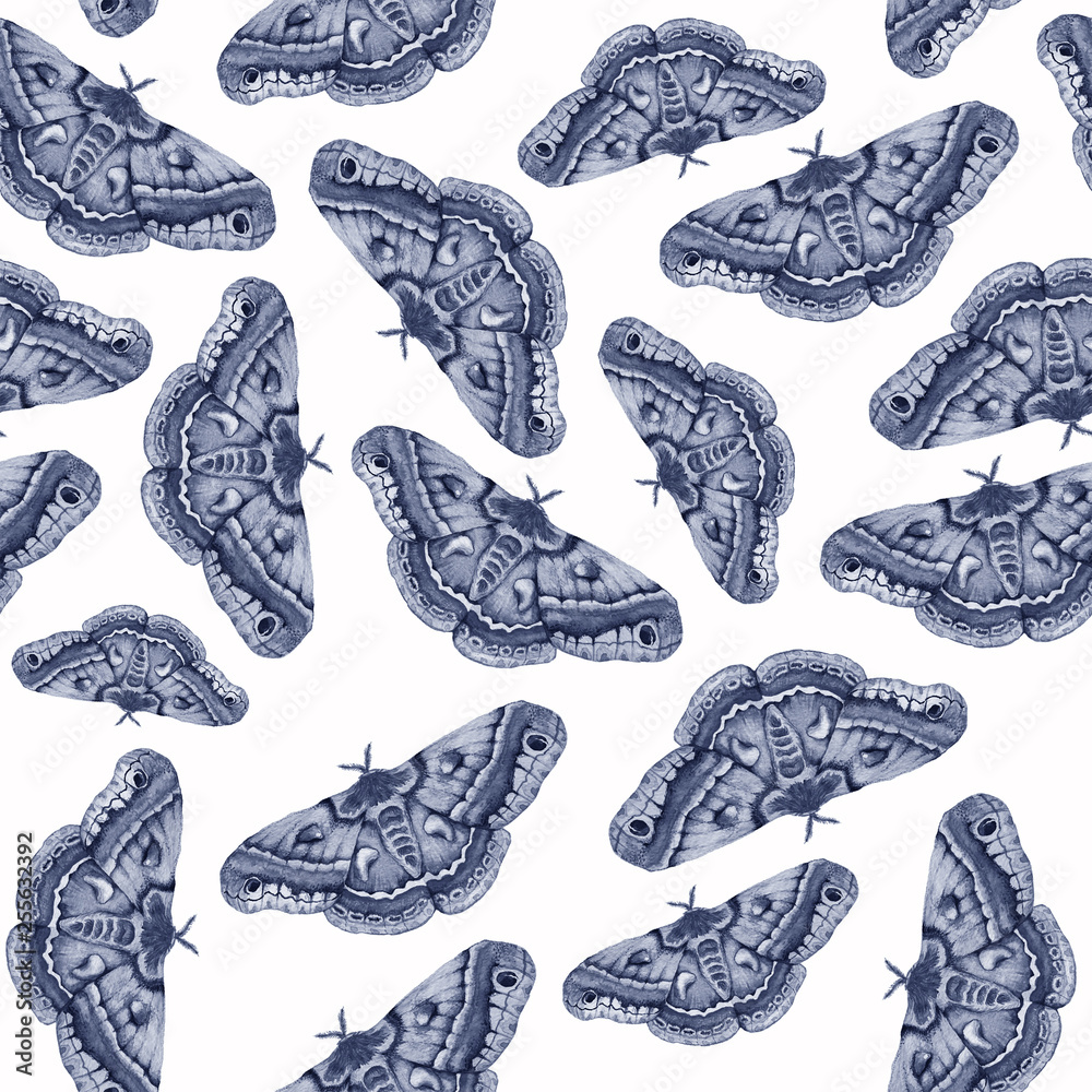 Blue watercolor butterfly on white background Blue watercolor butterfly on white background