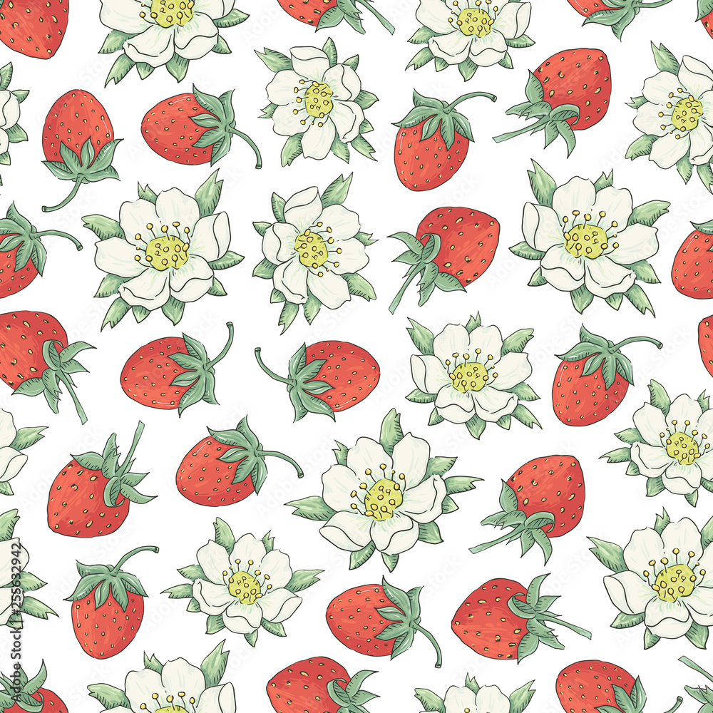 Vector floral seamless pattern with hand drawn flowers of strawberry on a white background