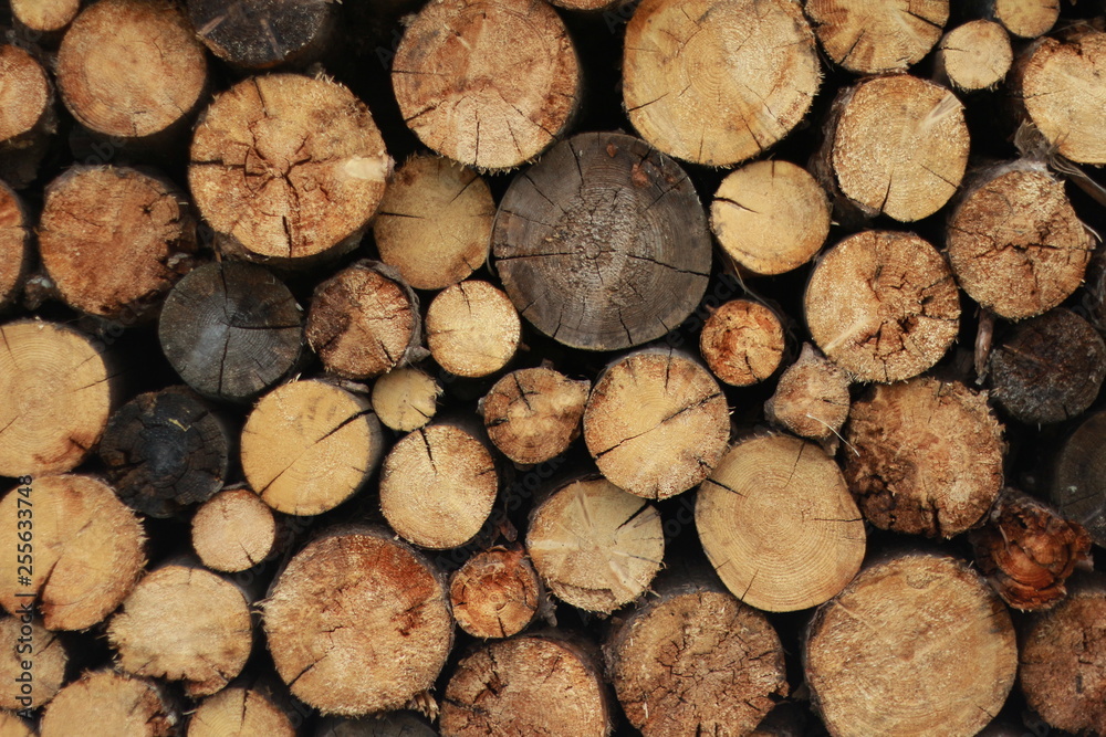 wood wood