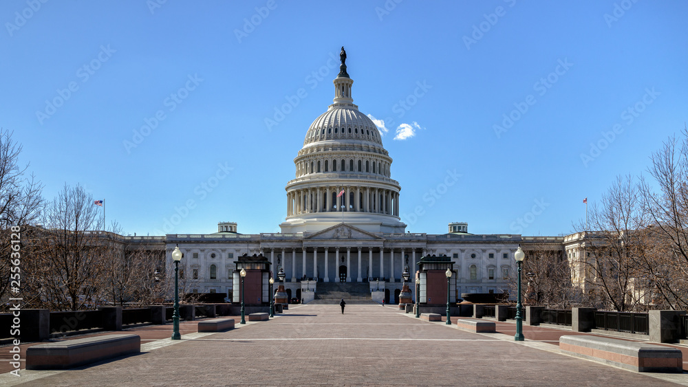 Fototapeta premium The United States Capitol Building on Capitol Hill in Washington DC, USA.