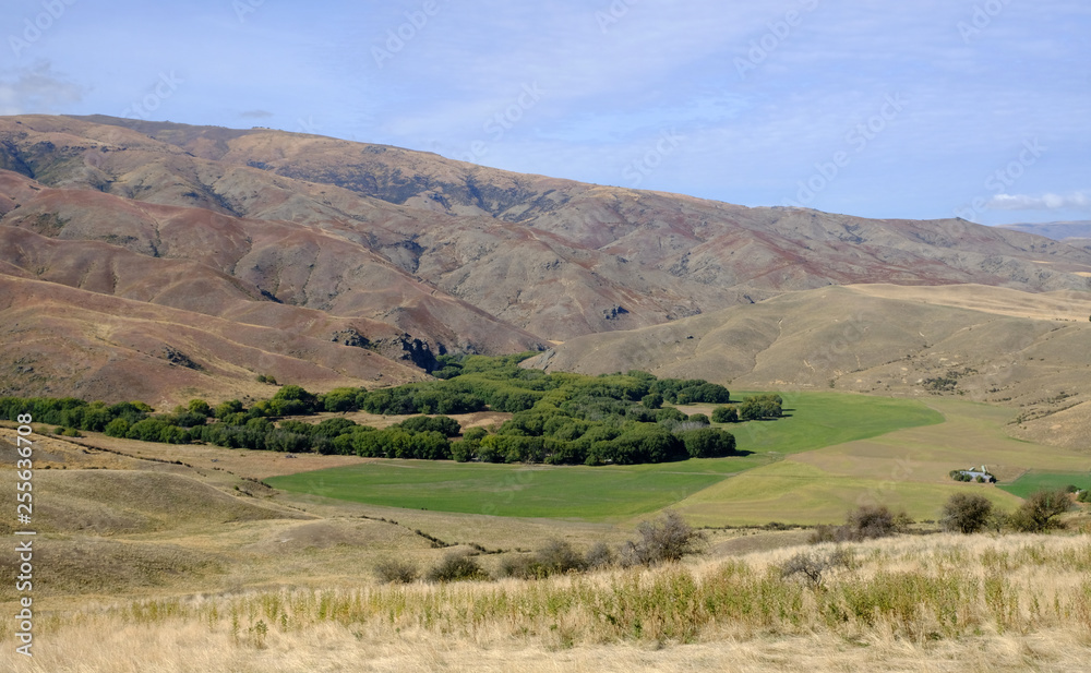 Fototapeta premium Hills near Tarras, Otago, New Zealand