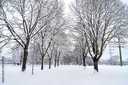 Straße Allee im Winter mit viel Schnee Bäumen am Tag Schneechaos