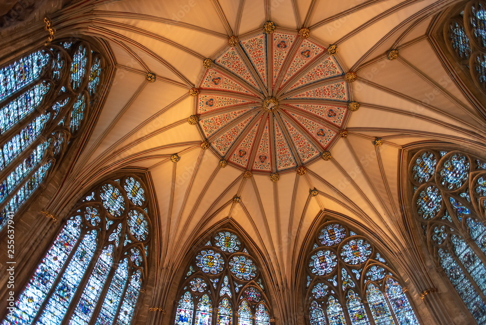Ceiling of Cathedral Ceiling of Cathedral