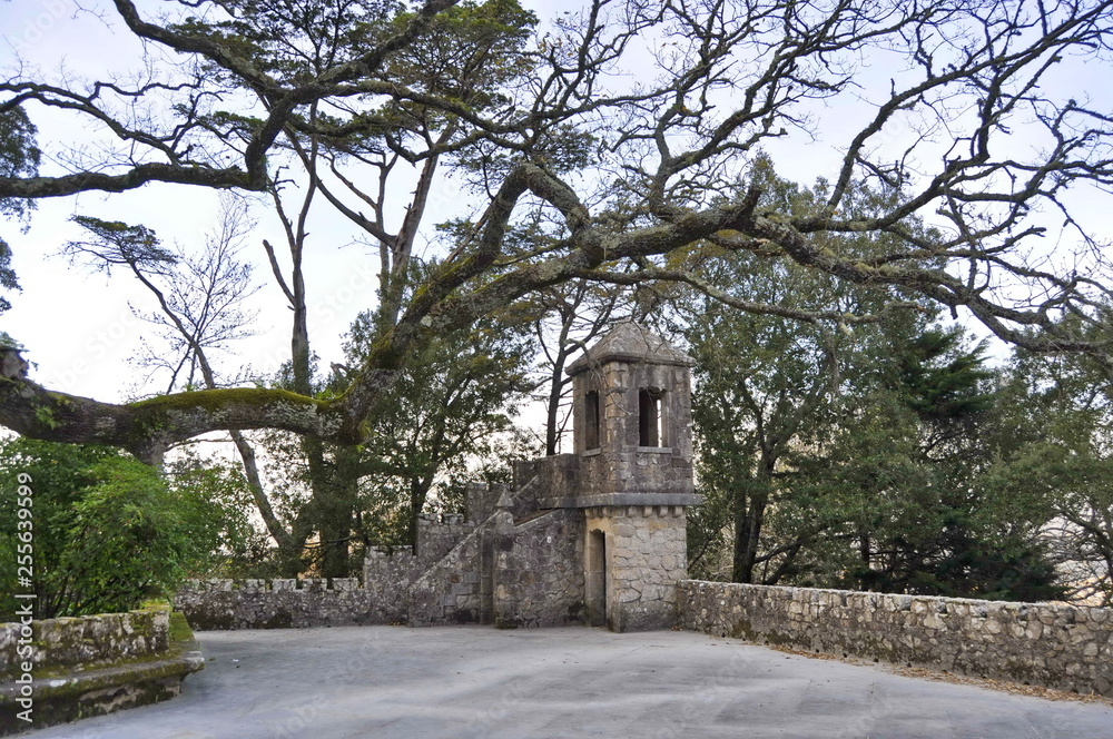 Obraz premium Quinta de Regaleria in Sintra, Portugal