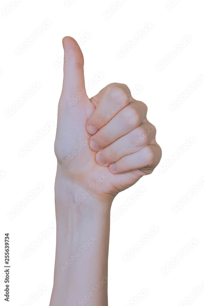 Woman holding up hand showing the thums up or I Like sign Woman holding up hand showing the thums up or I Like sign