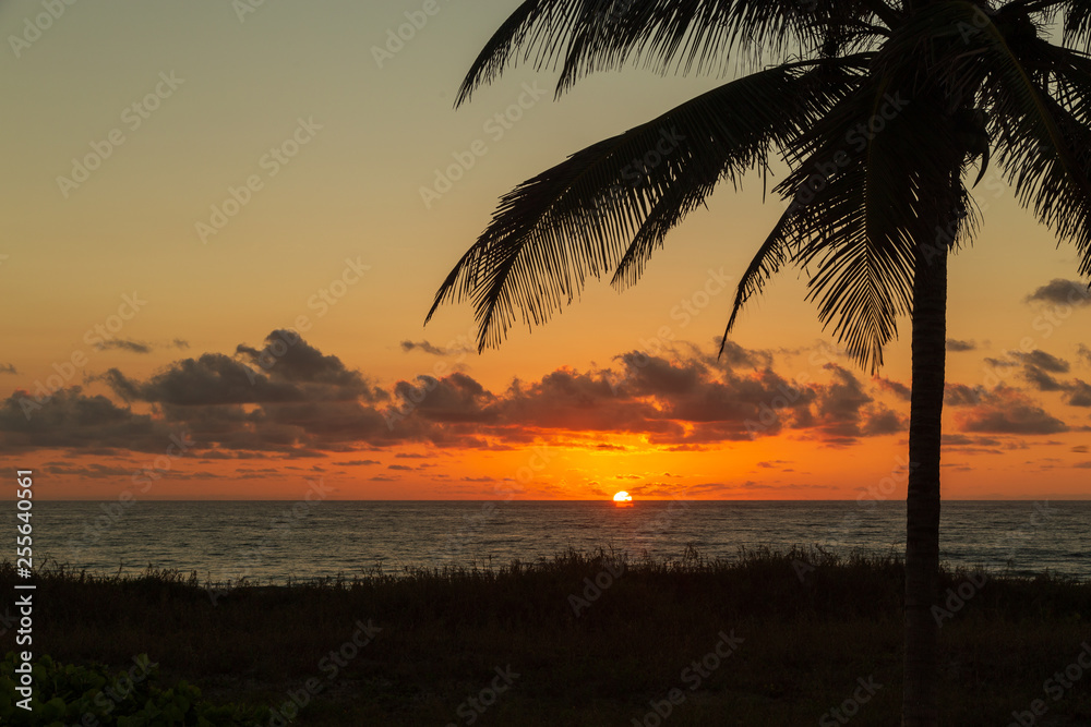The sun peaking out from the horizon on Delray Beach in Florida.