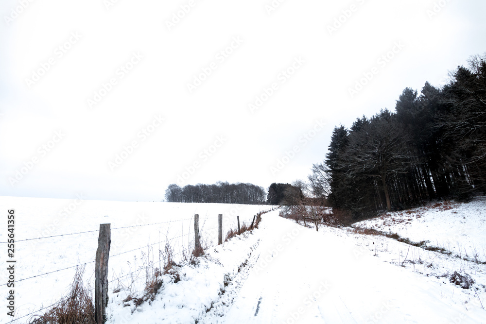 Road between fields and forests covered with snow in a winter landscape.