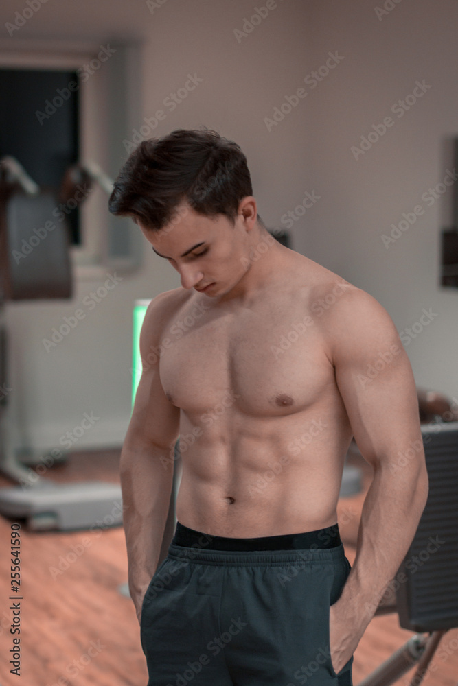 Fototapeta premium An upper body free bodybuilder with a deflected body and good abs. abdominal muscles, ripped, body, strong