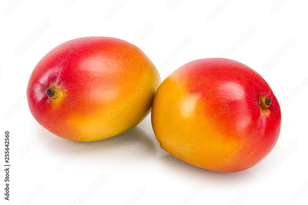 Mango fruit isolated on white background close-up Mango fruit isolated on white background close-up