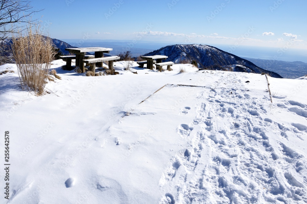 Fototapeta premium 雪化粧した丹沢の表尾根
