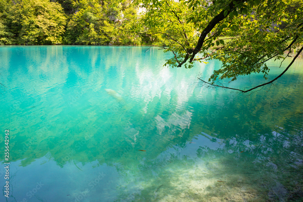 turquoise waters of Plitvice Lakes National Park in Croatia turquoise waters of Plitvice Lakes National Park in Croatia