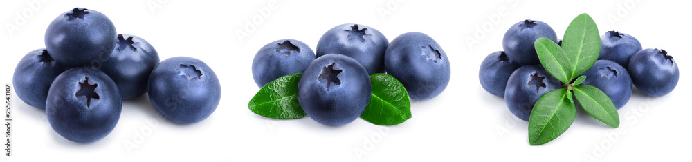 fresh blueberry with leaves isolated on white background closeup. Set or collection fresh blueberry with leaves isolated on white background closeup. Set or collection