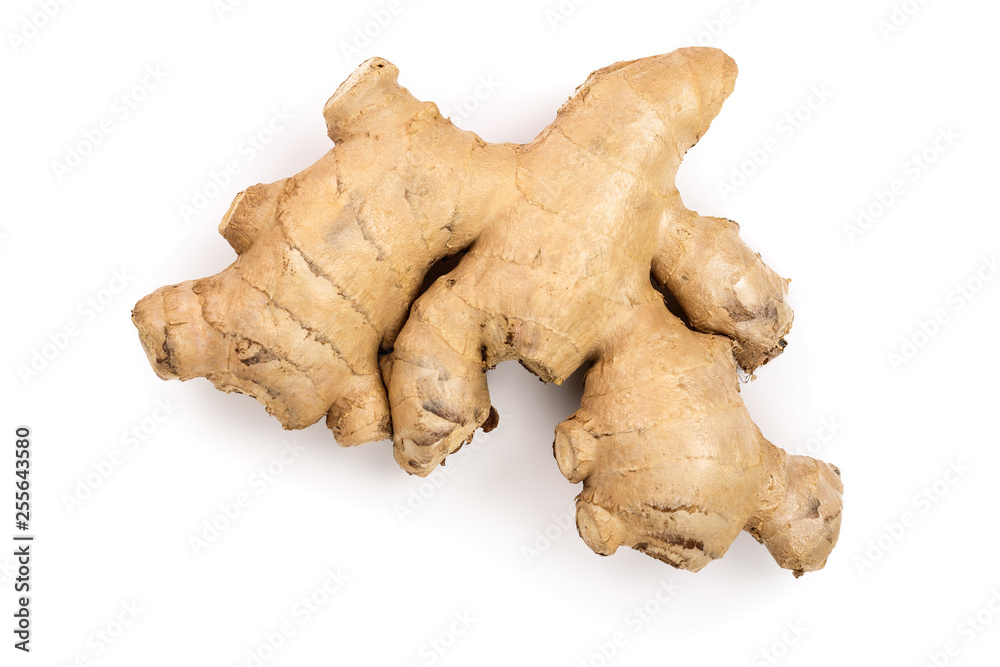 fresh Ginger root isolated on white background. Top view. Flat lay fresh Ginger root isolated on white background. Top view. Flat lay