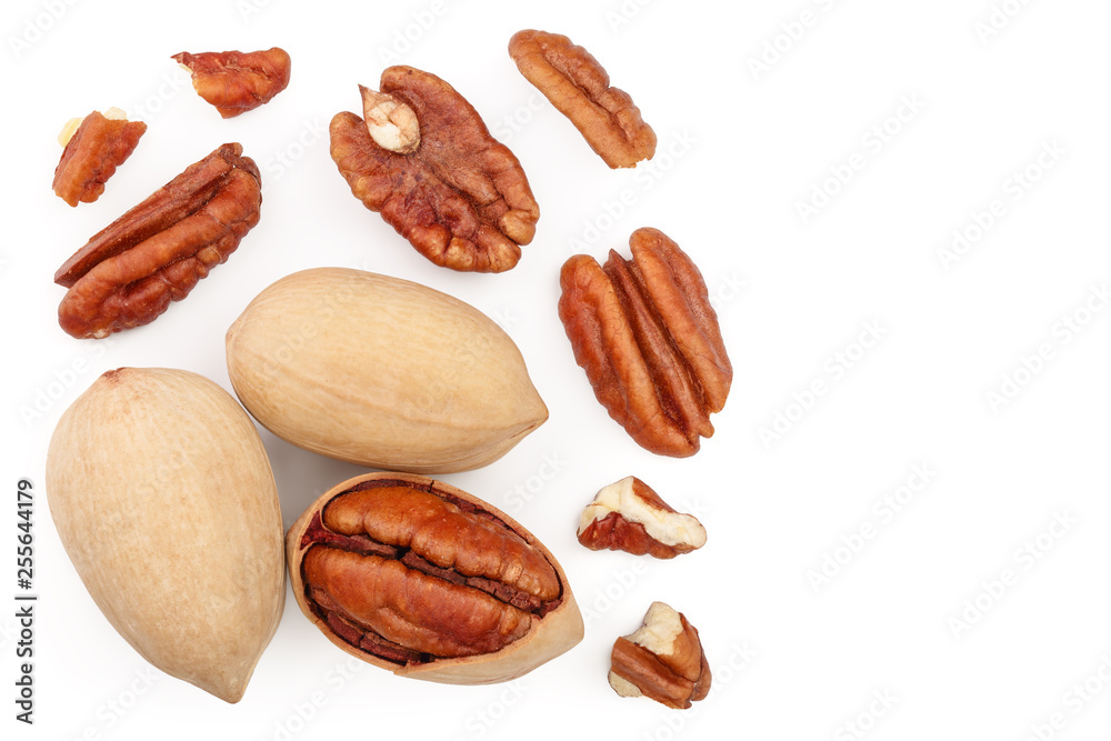pecan nut isolated on white background with copy space for your text. Top view. Flat lay pecan nut isolated on white background with copy space for your text. Top view. Flat lay