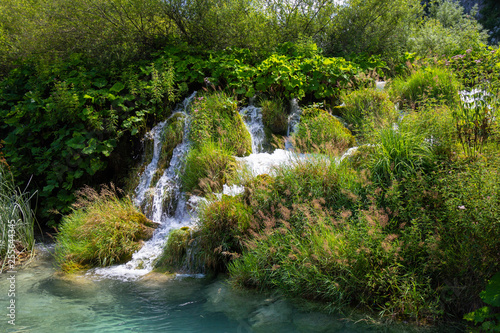 Fototapeta Naklejka Na Ścianę i Meble -   turquoise waters of Plitvice Lakes National Park in Croatia
